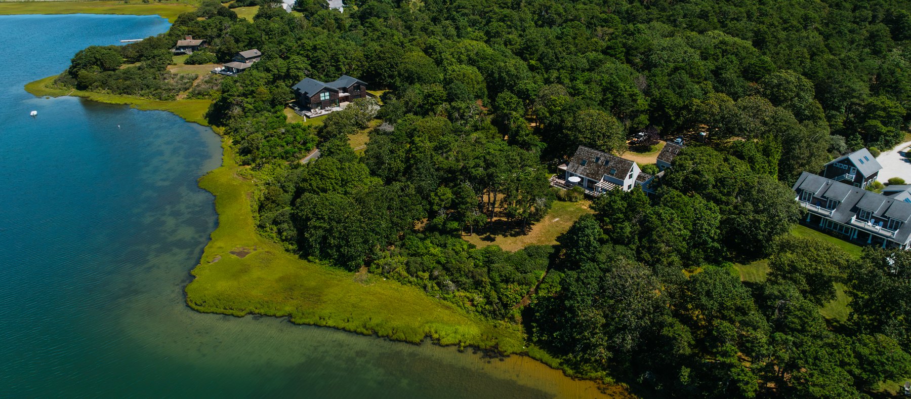 Caleb's Pond House — the pond and its marsh edge, with the house among its neighbours along the shore