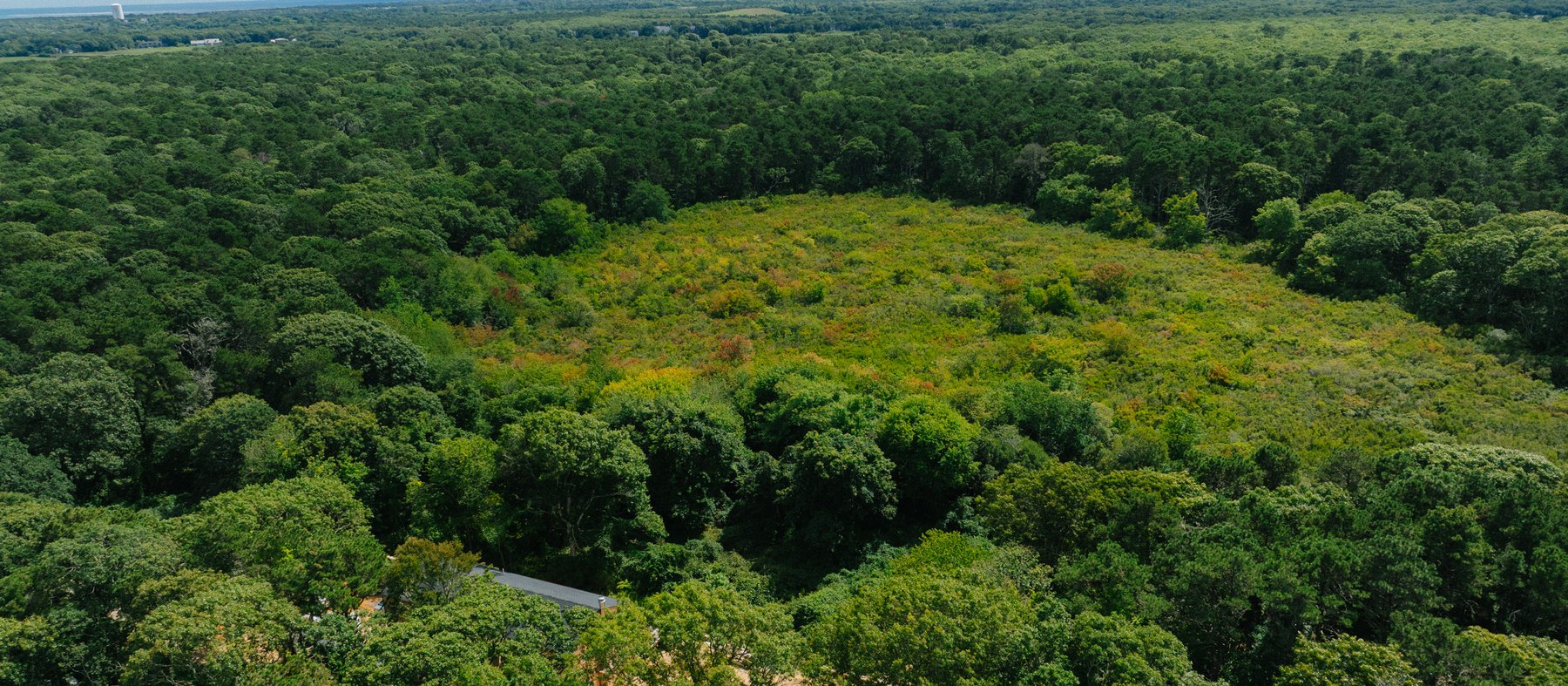 Pennywise Path — the clearing south of the house, and the water beyond