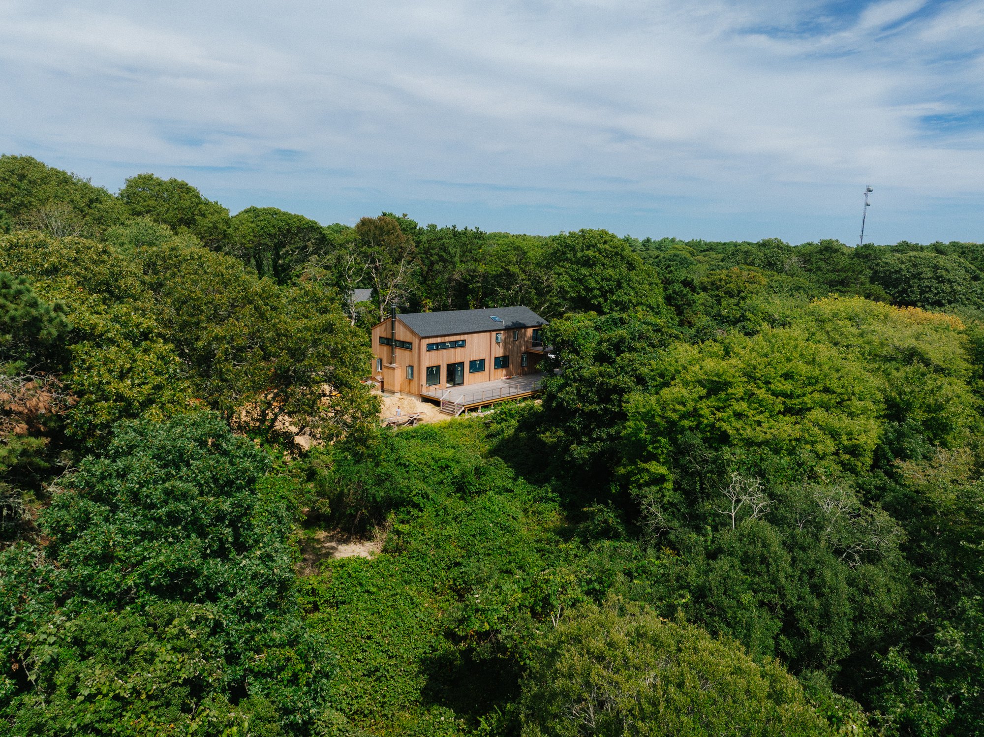 Pennywise Path — the house set into the oak canopy, seen from the air