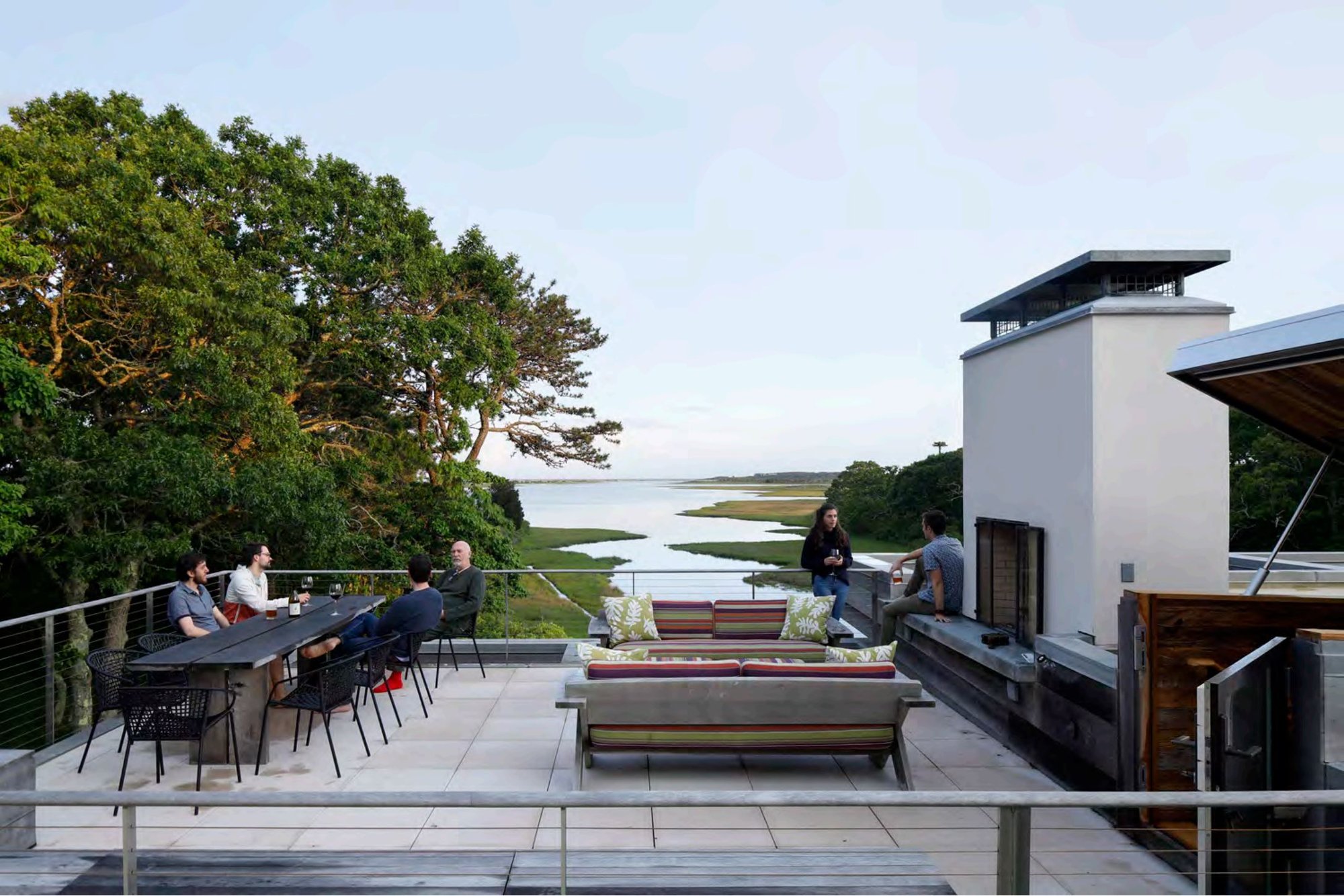 Pond House — Roof